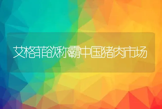 艾格菲欲称霸中国猪肉市场 | 动物养殖