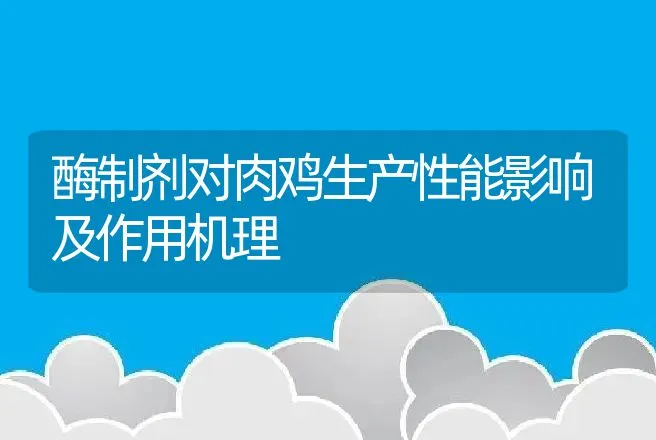 酶制剂对肉鸡生产性能影响及作用机理 | 动物养殖