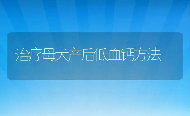 治疗母犬产后低血钙方法 | 宠物猫