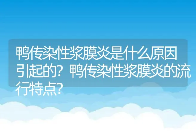 鸭传染性浆膜炎是什么原因引起的？鸭传染性浆膜炎的流行特点？ | 兽医知识大全