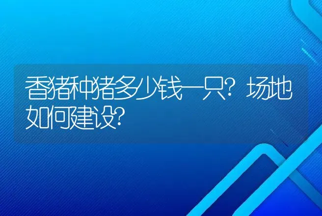 延边黄牛一头多少钱？延边黄牛的弊端? | 家畜养殖