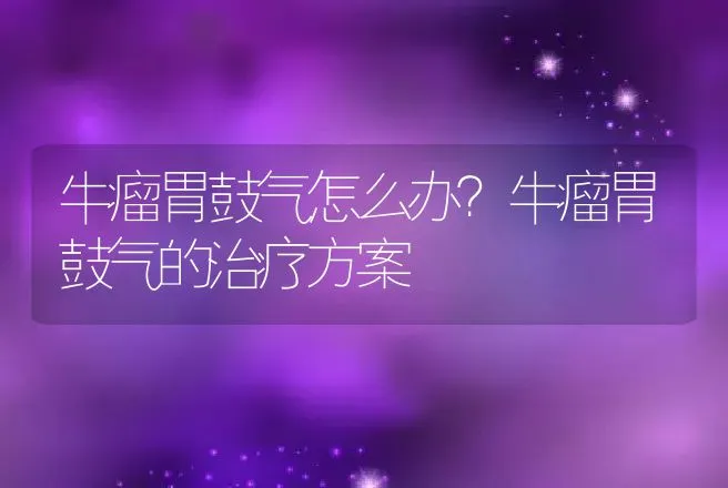 牛瘤胃鼓气怎么办？牛瘤胃鼓气的治疗方案 | 兽医知识大全