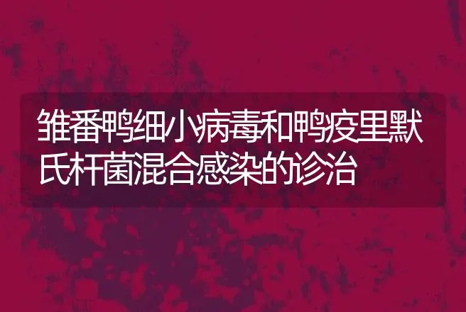 雏番鸭细小病毒和鸭疫里默氏杆菌混合感染的诊治 | 动物养殖