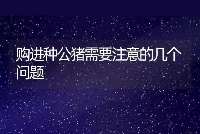 购进种公猪需要注意的几个问题 | 家畜养殖