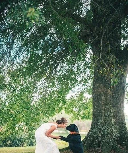 新娘穿上华丽的婚纱 带着宠物举行婚礼 | 宠物新闻资讯