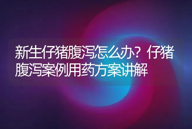 新生仔猪腹泻怎么办？仔猪腹泻案例用药方案讲解 | 兽医知识大全