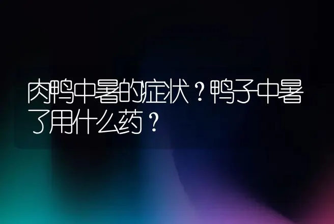 肉鸭中暑的症状？鸭子中暑了用什么药？ | 兽医知识大全