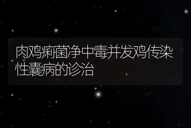 肉鸡痢菌净中毒并发鸡传染性囊病的诊治 | 动物养殖