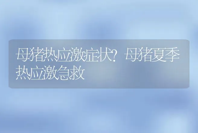 母猪热应激症状？母猪夏季热应激急救 | 兽医知识大全