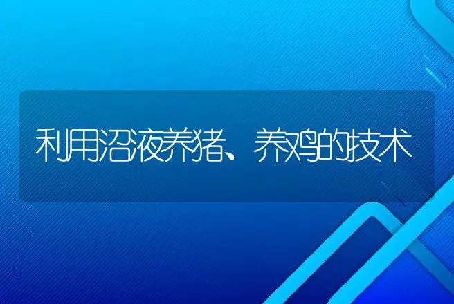 利用沼液养猪、养鸡的技术 | 动物养殖