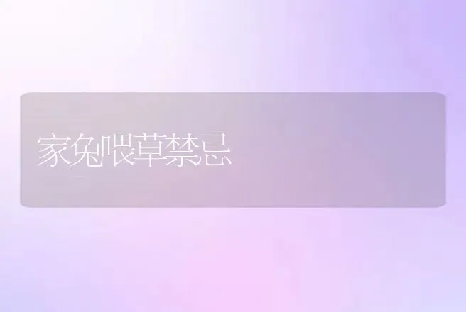 家兔喂草禁忌 | 动物养殖