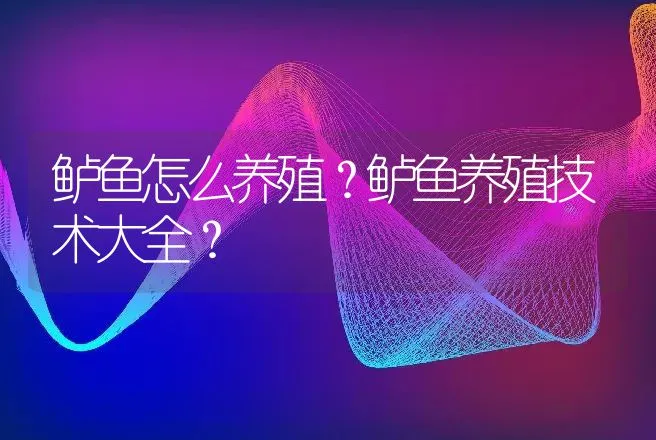 鲈鱼怎么养殖？鲈鱼养殖技术大全？ | 水产知识