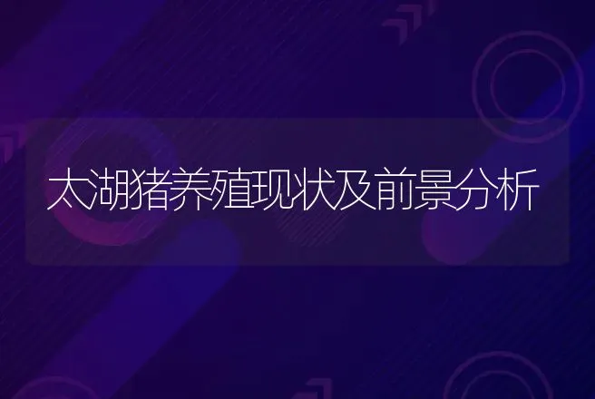 太湖猪养殖现状及前景分析 | 养殖致富