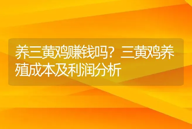 养三黄鸡赚钱吗？三黄鸡养殖成本及利润分析 | 家禽养殖