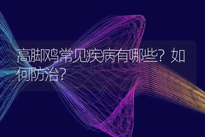 高脚鸡常见疾病有哪些？如何防治？ | 兽医知识大全