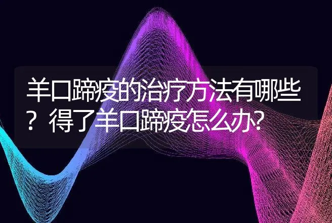 羊口蹄疫的治疗方法有哪些?得了羊口蹄疫怎么办? | 家畜养殖