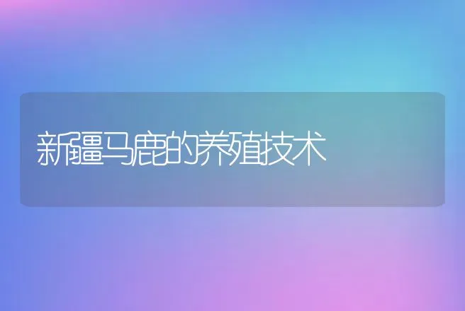 新疆马鹿的养殖技术 | 动物养殖