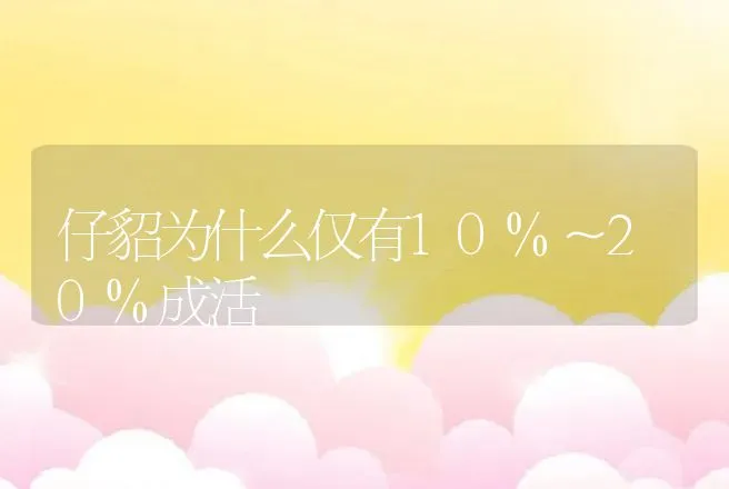 仔貂为什么仅有10%～20%成活 | 动物养殖