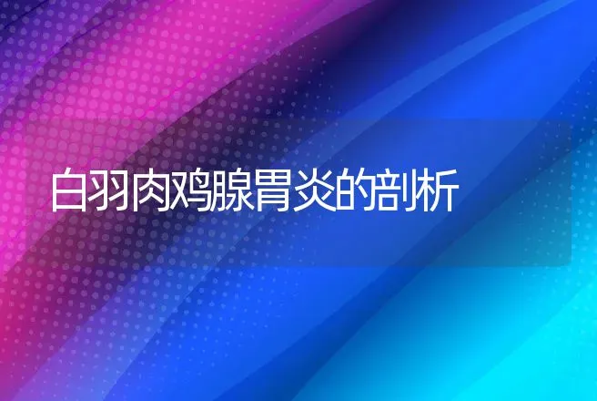 白羽肉鸡腺胃炎的剖析 | 兽医知识大全