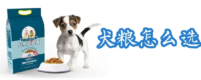 犬粮怎么选 | 宠物病虫害防治