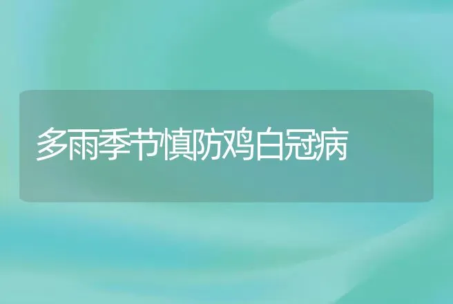 多雨季节慎防鸡白冠病 | 动物养殖