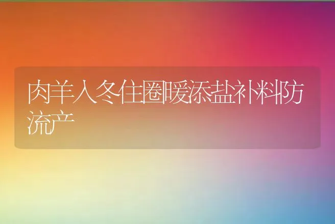 肉羊入冬住圈暖添盐补料防流产 | 动物养殖