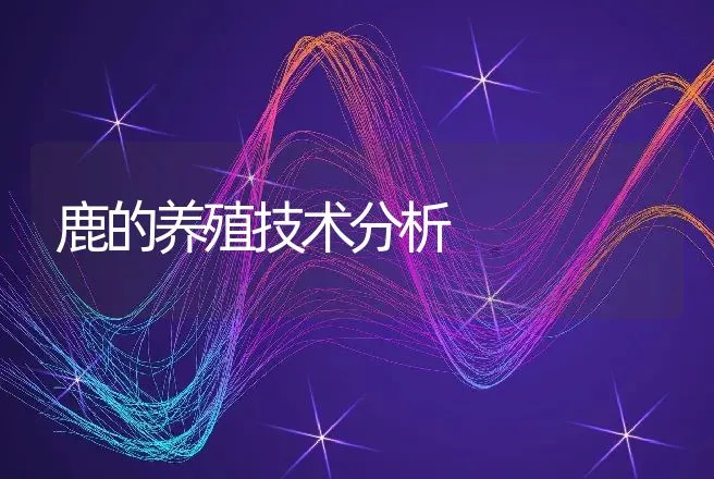 鹿的养殖技术分析 | 特种养殖