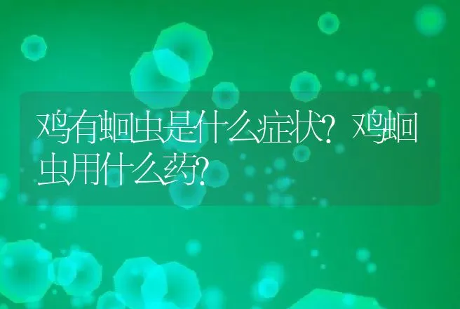 鸡有蛔虫是什么症状?鸡蛔虫用什么药？ | 兽医知识大全