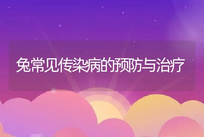 兔常见传染病的预防与治疗 | 动物养殖