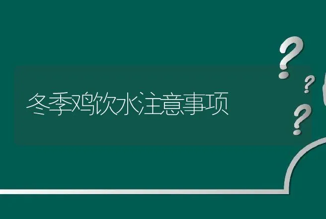 冬季鸡饮水注意事项 | 家禽养殖