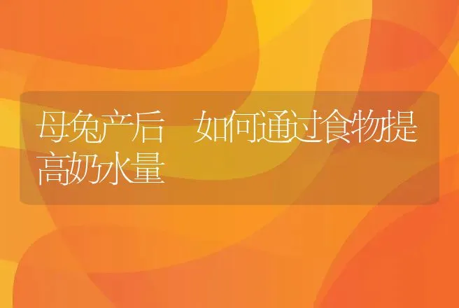 母兔产后 如何通过食物提高奶水量 | 动物养殖