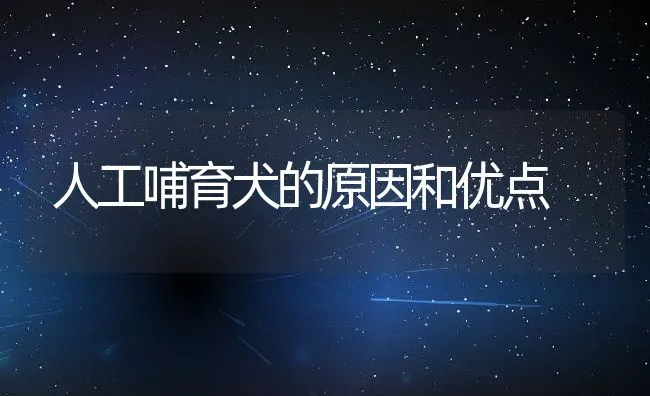 人工哺育犬的原因和优点 | 宠物病虫害