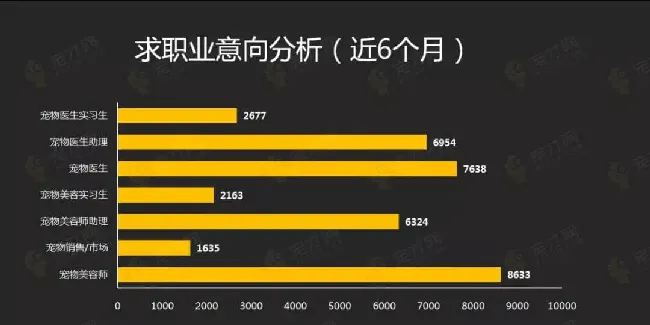 宠物行业紧缺人才需求分析报告 | 宠物行业洞察