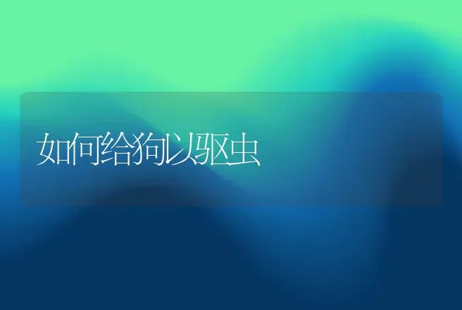 如何给狗以驱虫 | 动物养殖