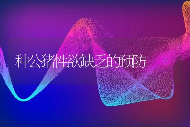 种公猪性欲缺乏的预防 | 动物养殖
