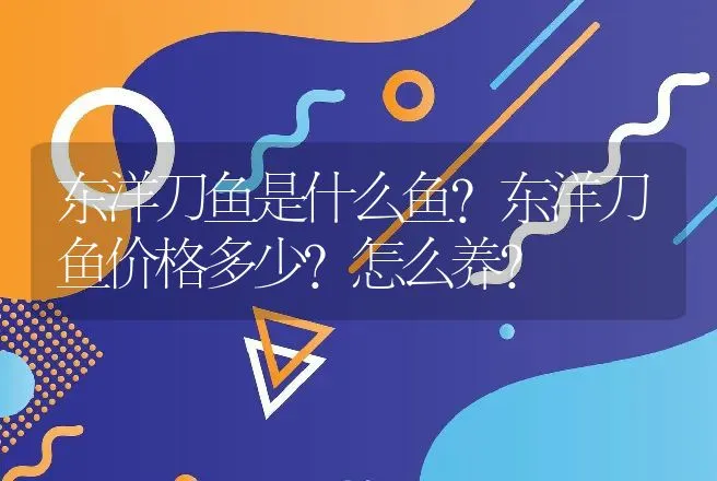 东洋刀鱼是什么鱼？东洋刀鱼价格多少？怎么养？ | 水产知识