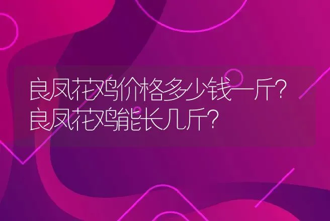 良凤花鸡价格多少钱一斤？良凤花鸡能长几斤？ | 家禽养殖