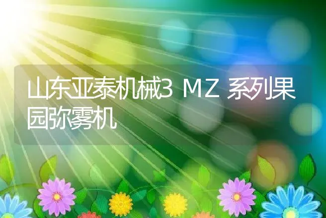 山东亚泰机械3MZ系列果园弥雾机 | 养殖