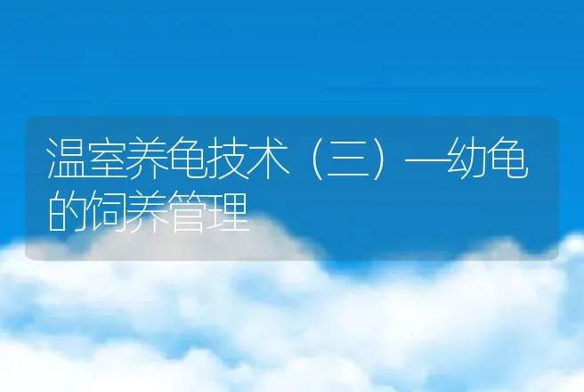 肉鸡传染性呼吸道病和大肠杆菌并发症及防治 | 动物养殖