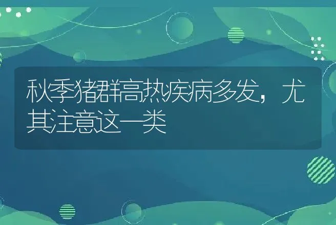 秋季猪群高热疾病多发，尤其注意这一类 | 兽医知识大全