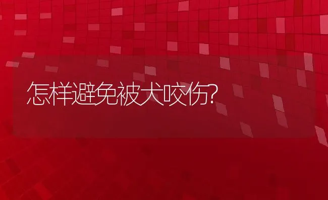 怎样避免被犬咬伤? | 宠物猫