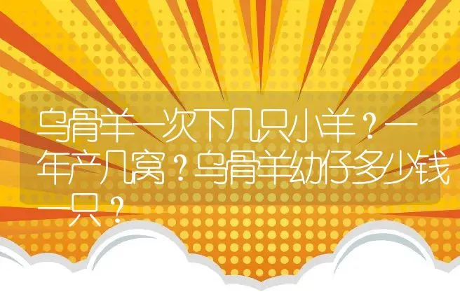 乌骨羊一次下几只小羊？一年产几窝？乌骨羊幼仔多少钱一只？ | 动物养殖