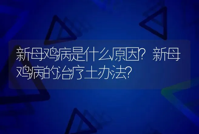 新母鸡病是什么原因？新母鸡病的治疗土办法？ | 兽医知识大全