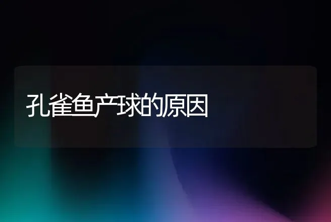 孔雀鱼产球的原因 | 动物养殖