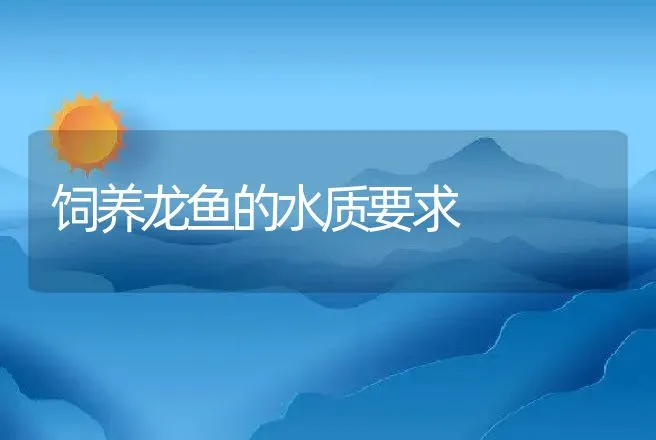 饲养龙鱼的水质要求 | 动物养殖