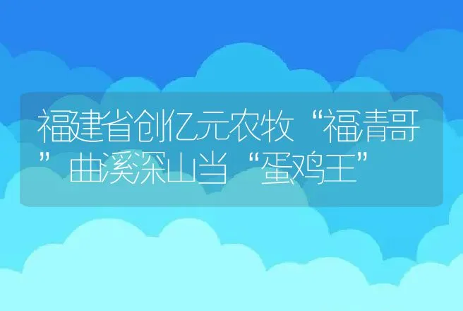 福建省创亿元农牧“福清哥”曲溪深山当“蛋鸡王” | 养殖致富