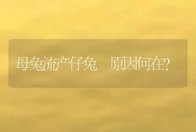 母兔流产仔兔 原因何在？ | 动物养殖