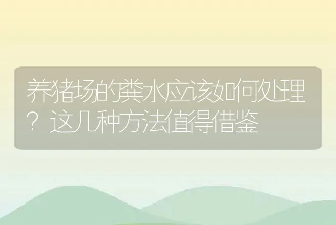 养猪场的粪水应该如何处理？这几种方法值得借鉴 | 家畜养殖