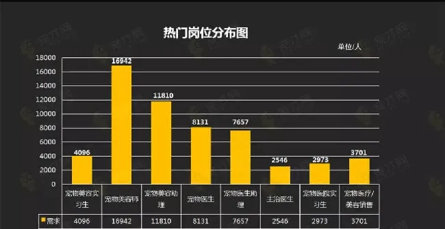 宠物行业紧缺人才需求分析报告 | 宠物行业洞察