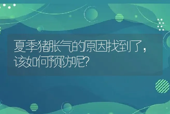 夏季猪胀气的原因找到了，该如何预防呢？ | 家畜养殖